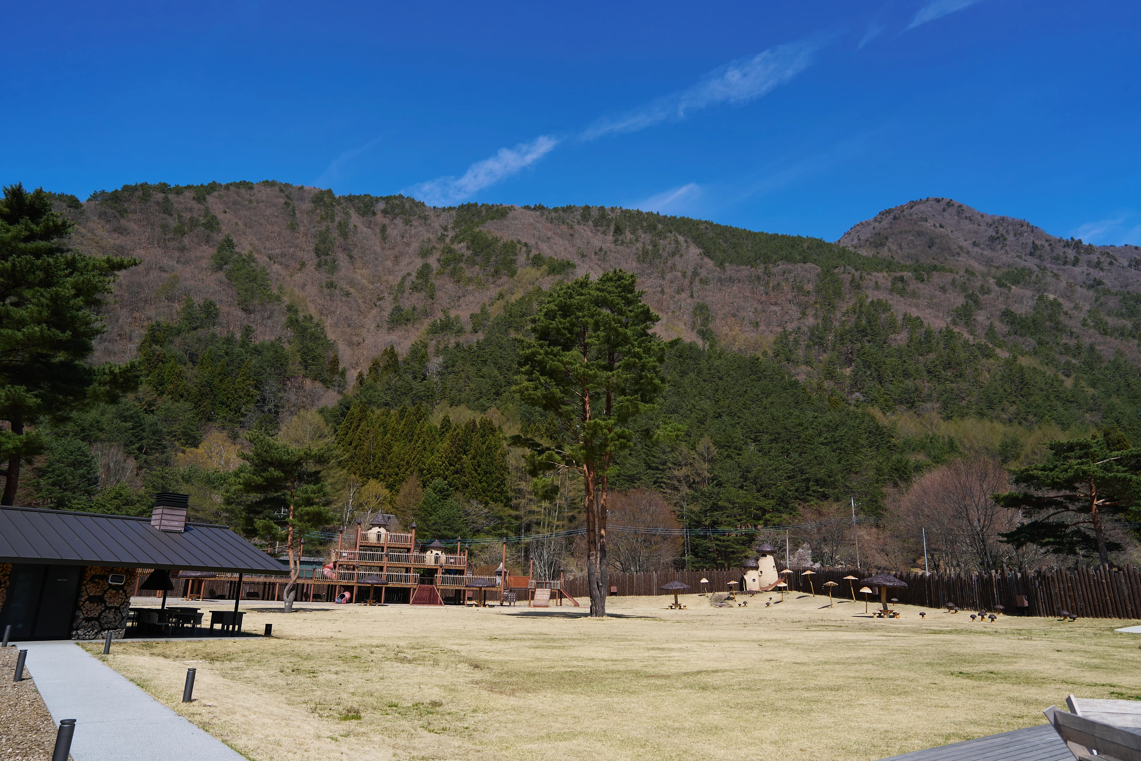 A VILLAGE GARDEN 全景